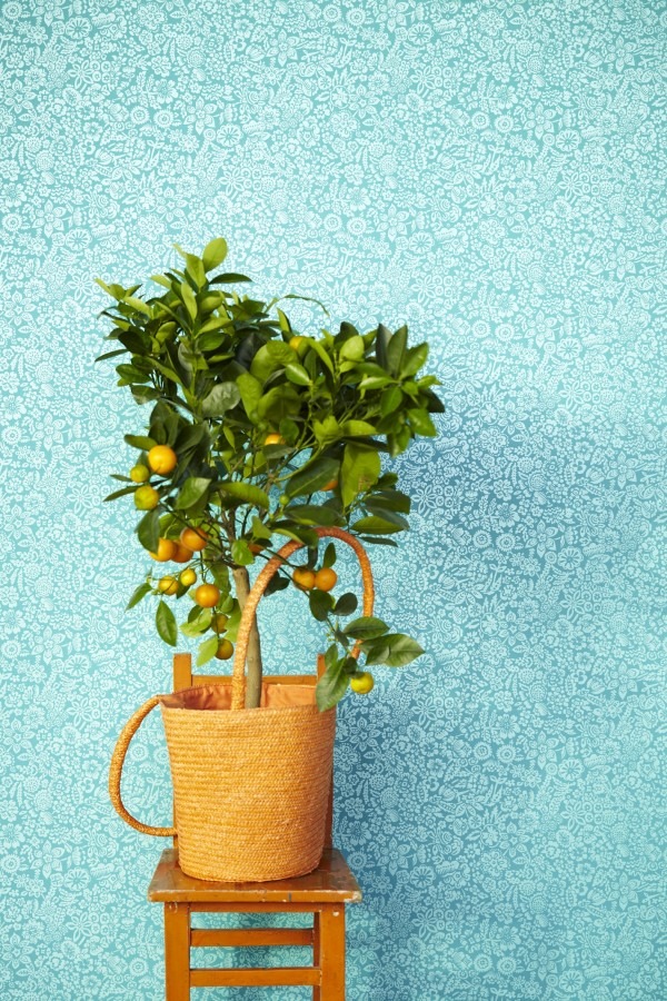 Modrá tapeta na zeď s drobným vzorkem a pokojová rostlina